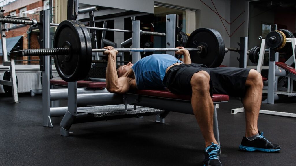 Guide to Choosing the Perfect Weight Bench